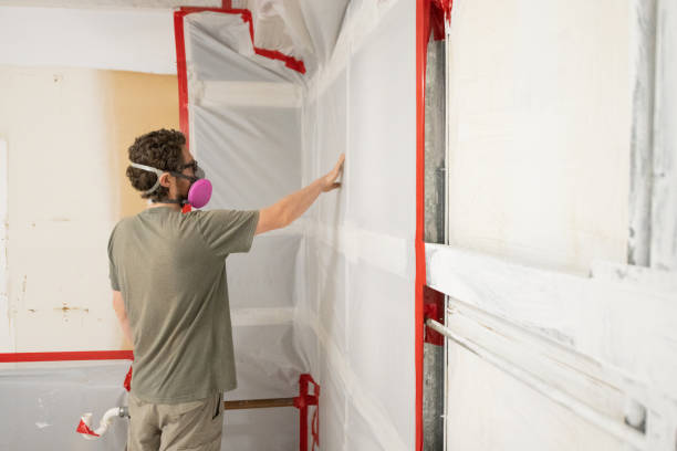 Best Mold Damage Restoration  in Pinetop Lakeside, AZ