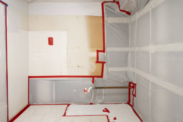 Best Real Estate Mold Inspection  in Pinetop Lakeside, AZ