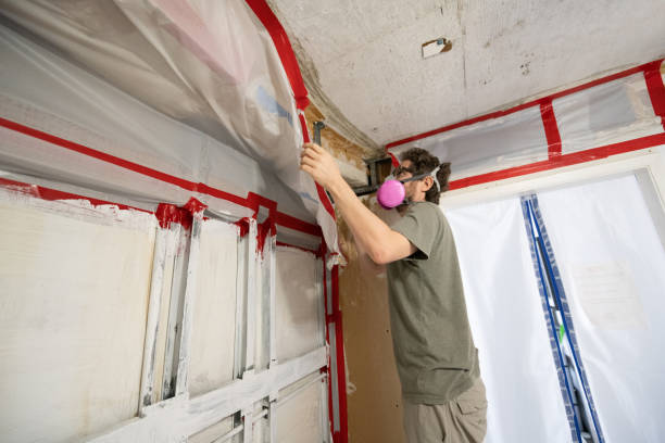 Best Comprehensive Air Testing for Mold Contaminants  in Pinetop Lakeside, AZ