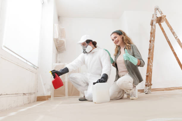 Best Asbestos and Lead Testing During Mold Inspection  in Pinetop Lakeside, AZ